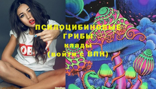 mdpv Алзамай