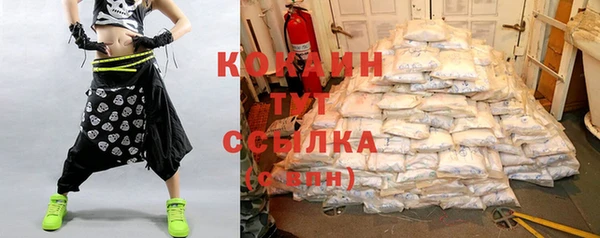 крисы Алексин